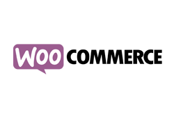 Temi WordPress: Woocommerce