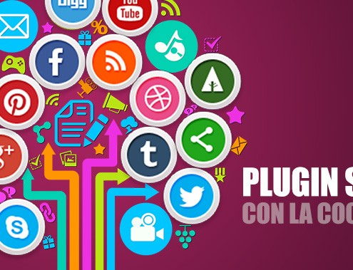 plugin social cookie law