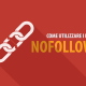 link nofollow wordpress