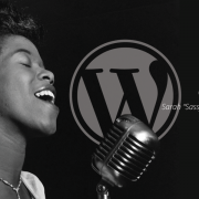 wordpress 4.7