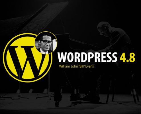 wordpress 4.8