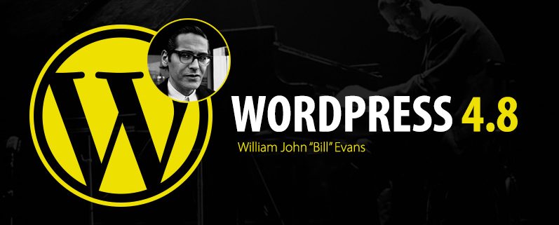 wordpress 4.8